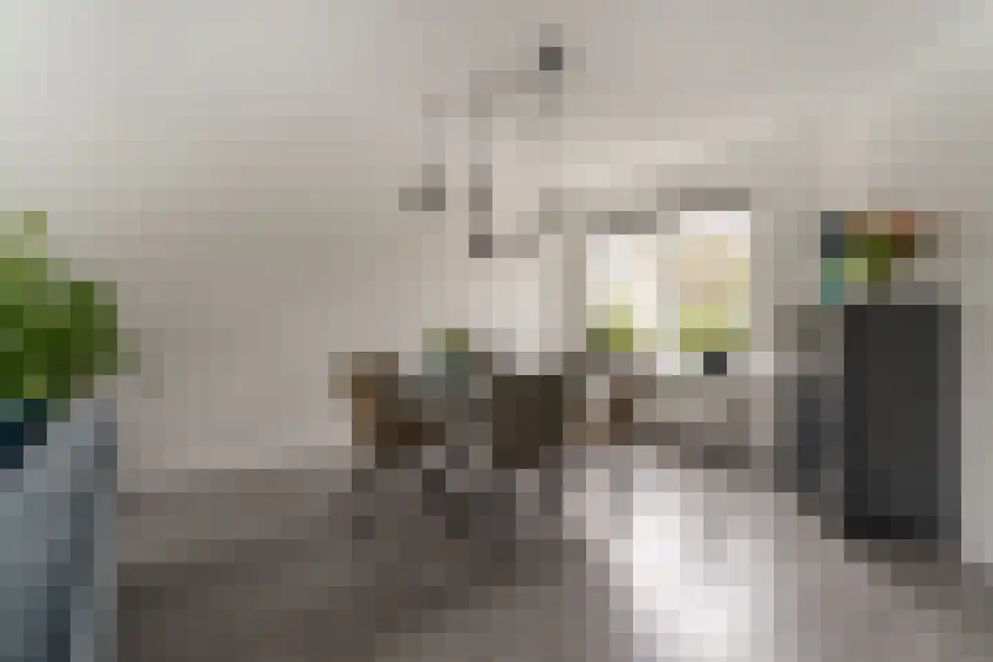 Golden Delicious 40 Duiven thumbnail 11