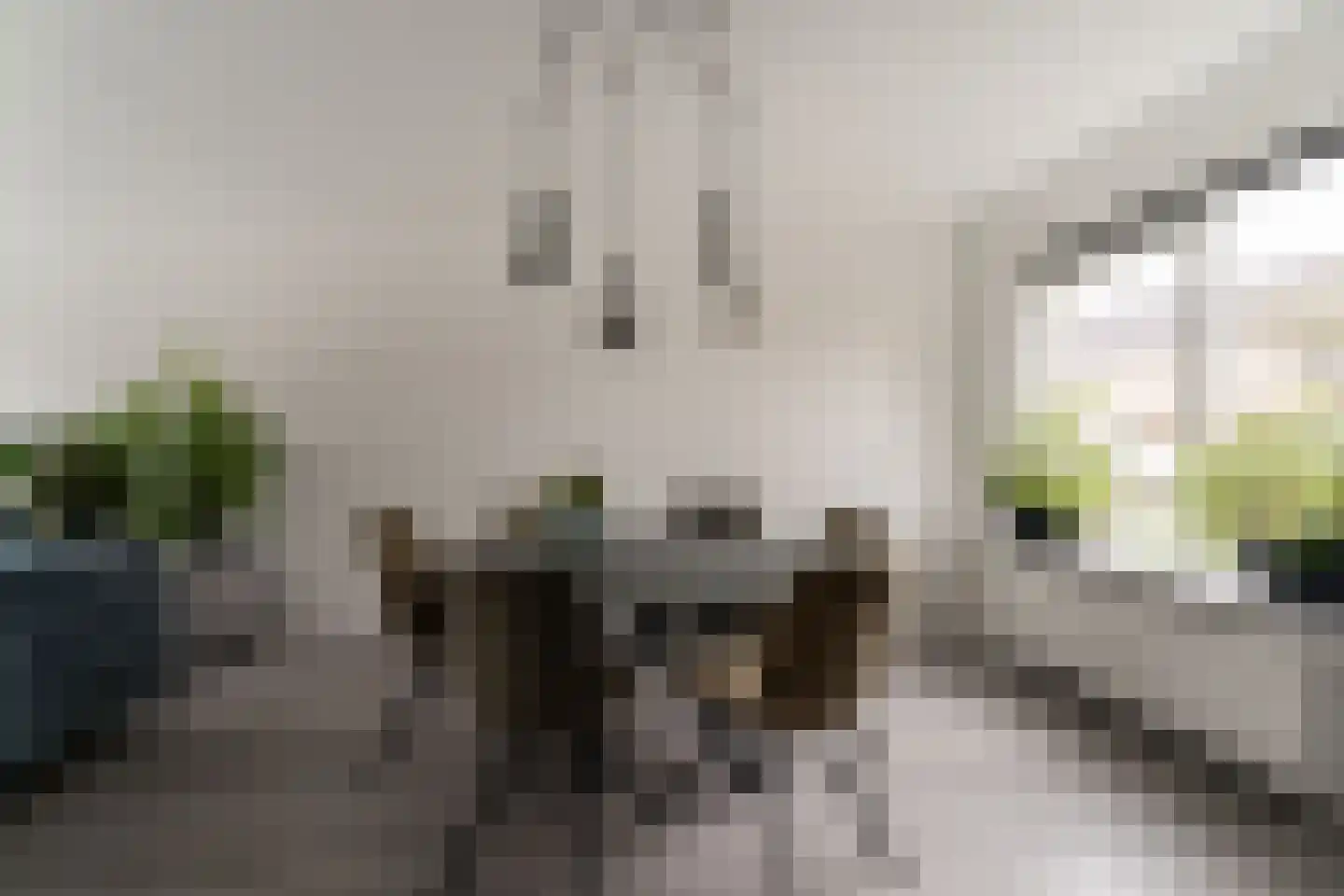 Golden Delicious 40 Duiven thumbnail 12