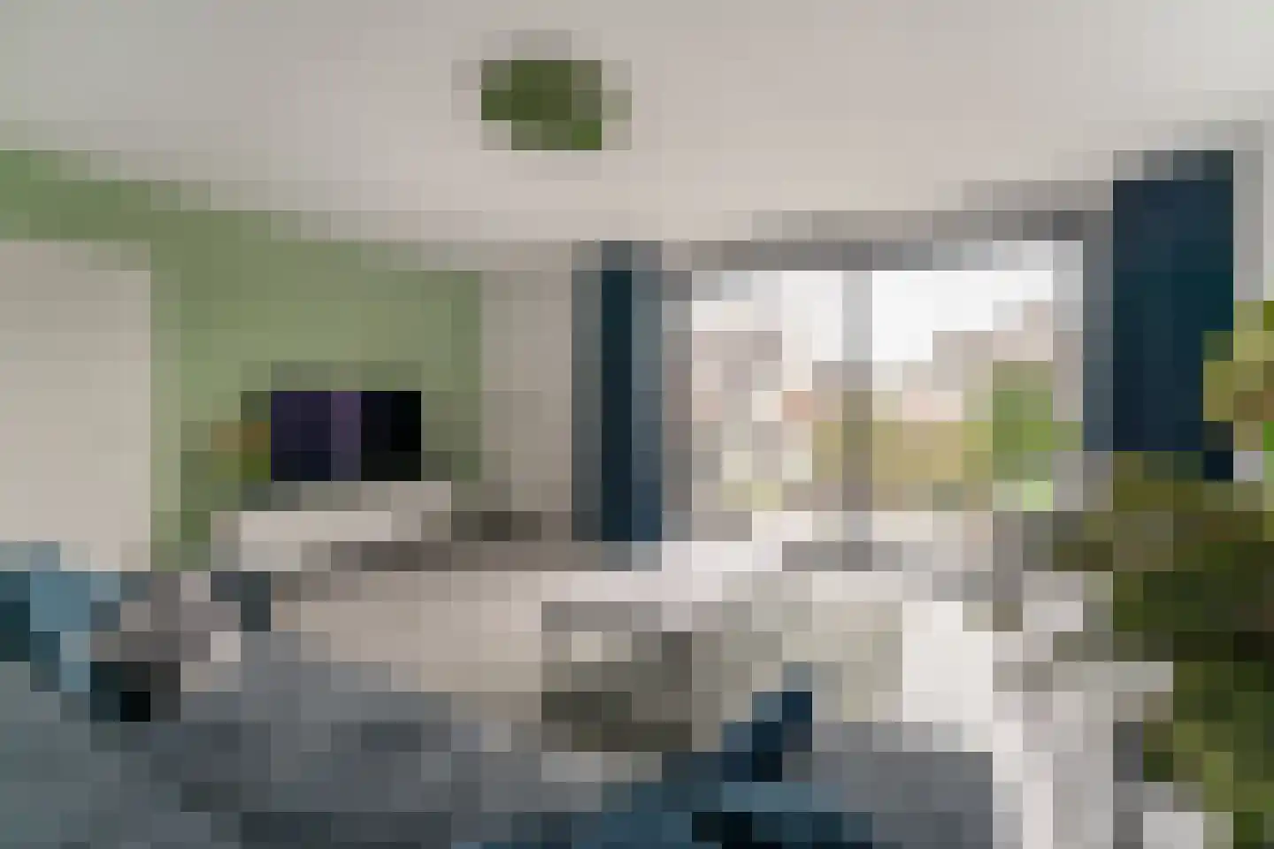 Golden Delicious 40 Duiven thumbnail 15
