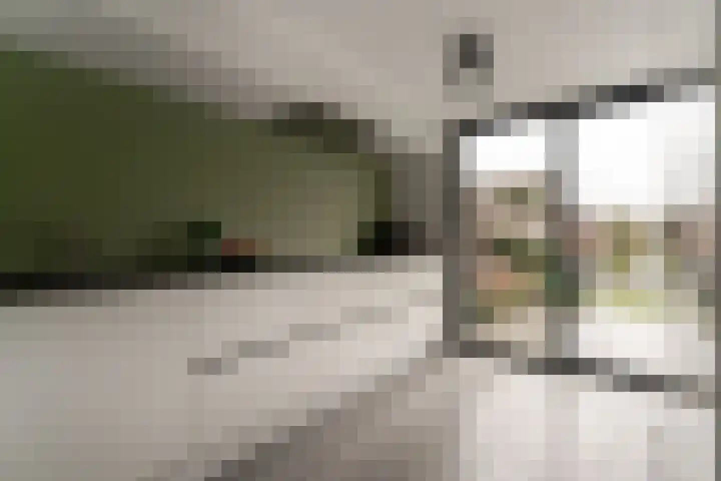Golden Delicious 40 Duiven thumbnail 16