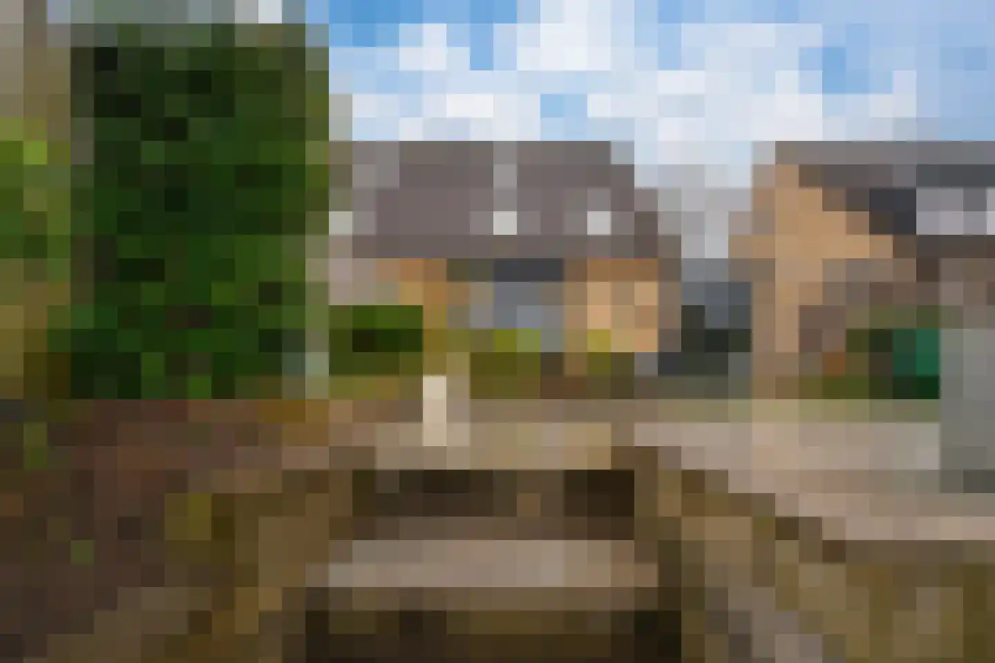 Golden Delicious 40 Duiven thumbnail 22