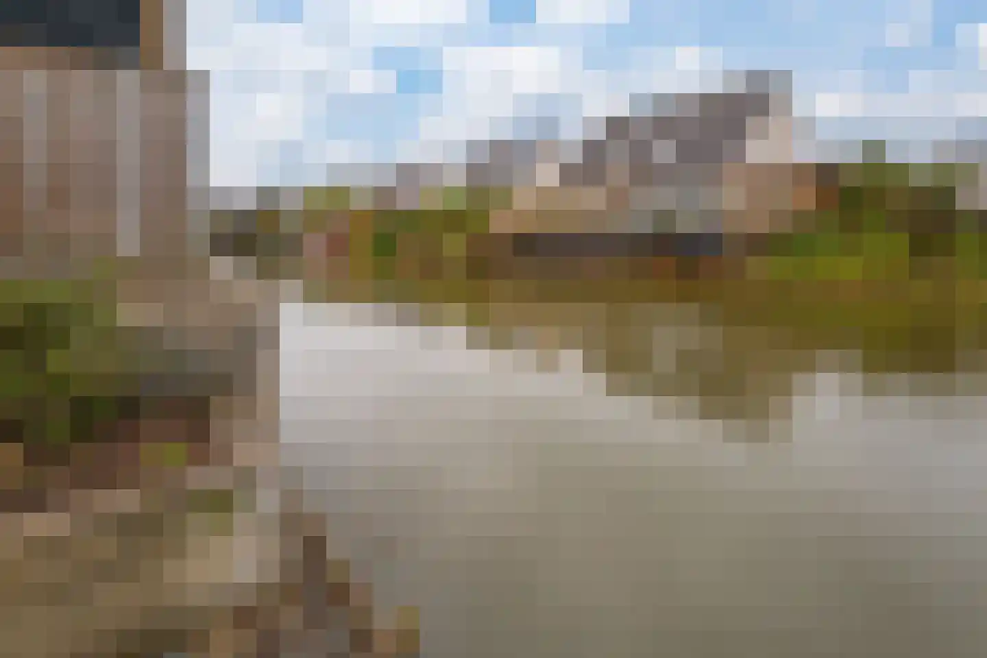Golden Delicious 40 Duiven thumbnail 24