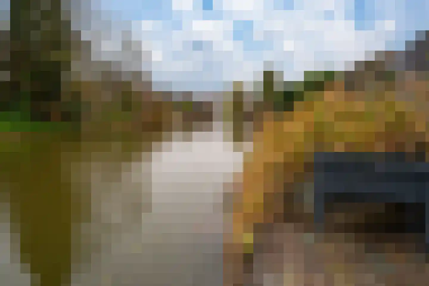 Golden Delicious 40 Duiven thumbnail 25