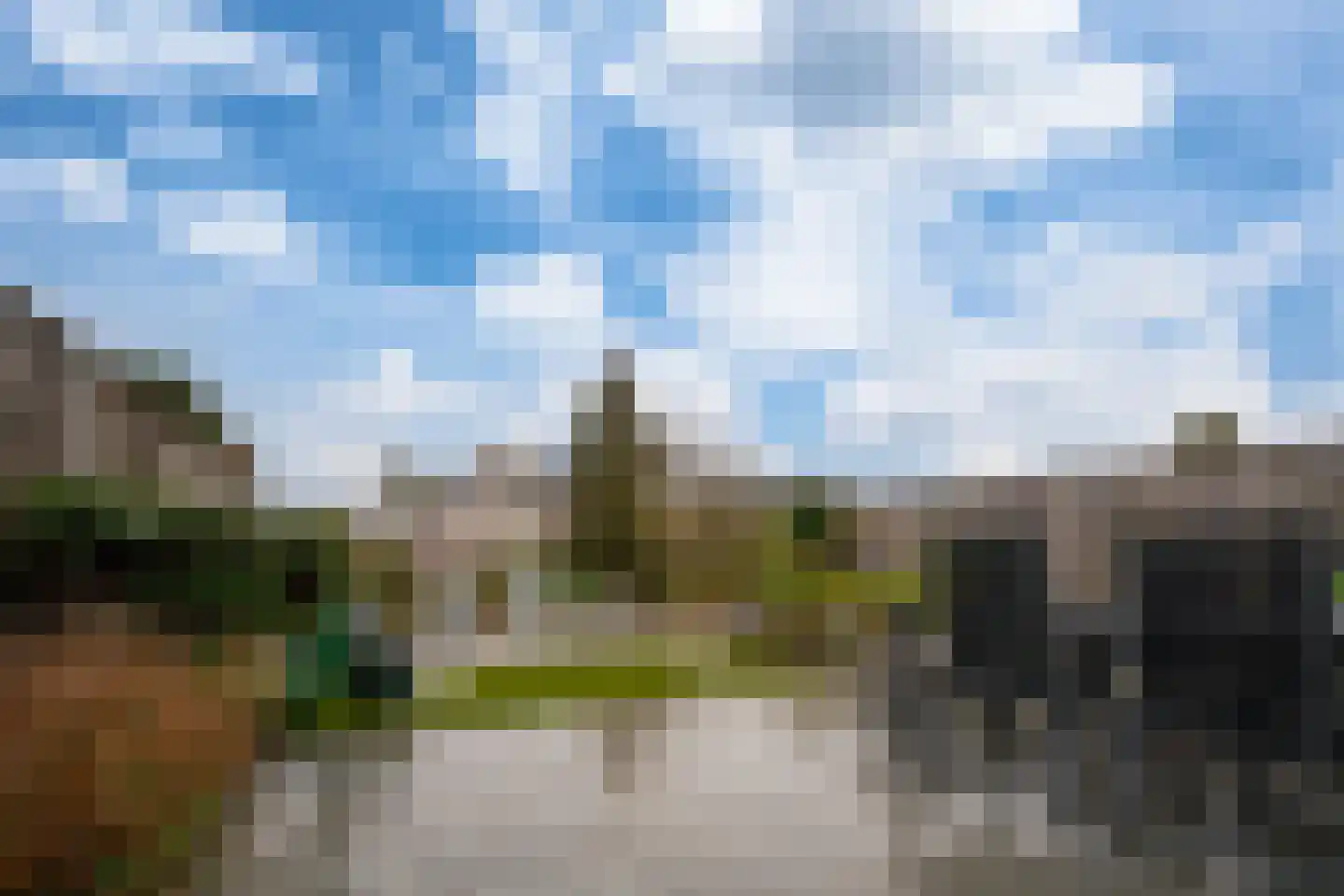 Golden Delicious 40 Duiven thumbnail 26