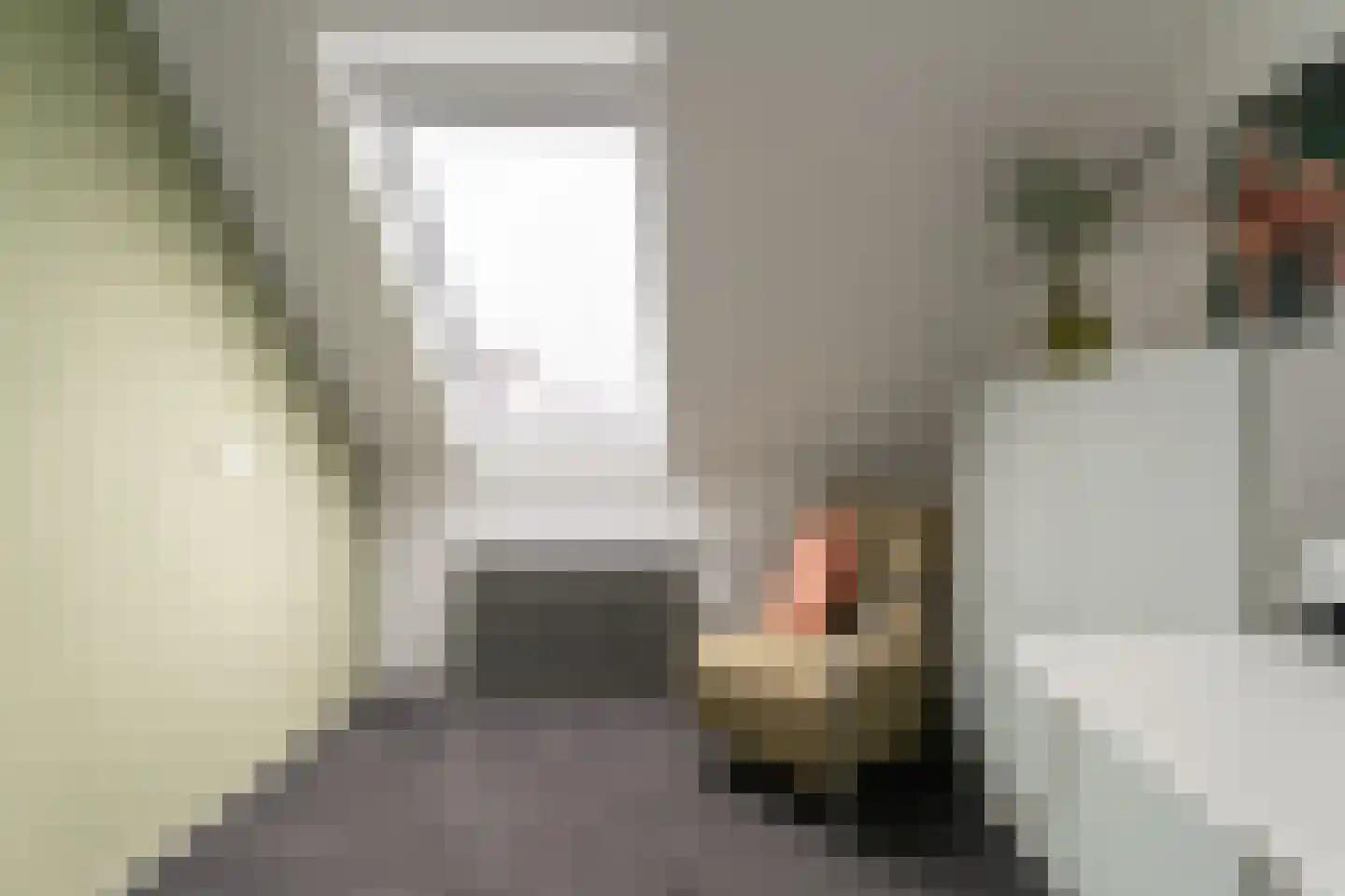 Golden Delicious 40 Duiven thumbnail 36