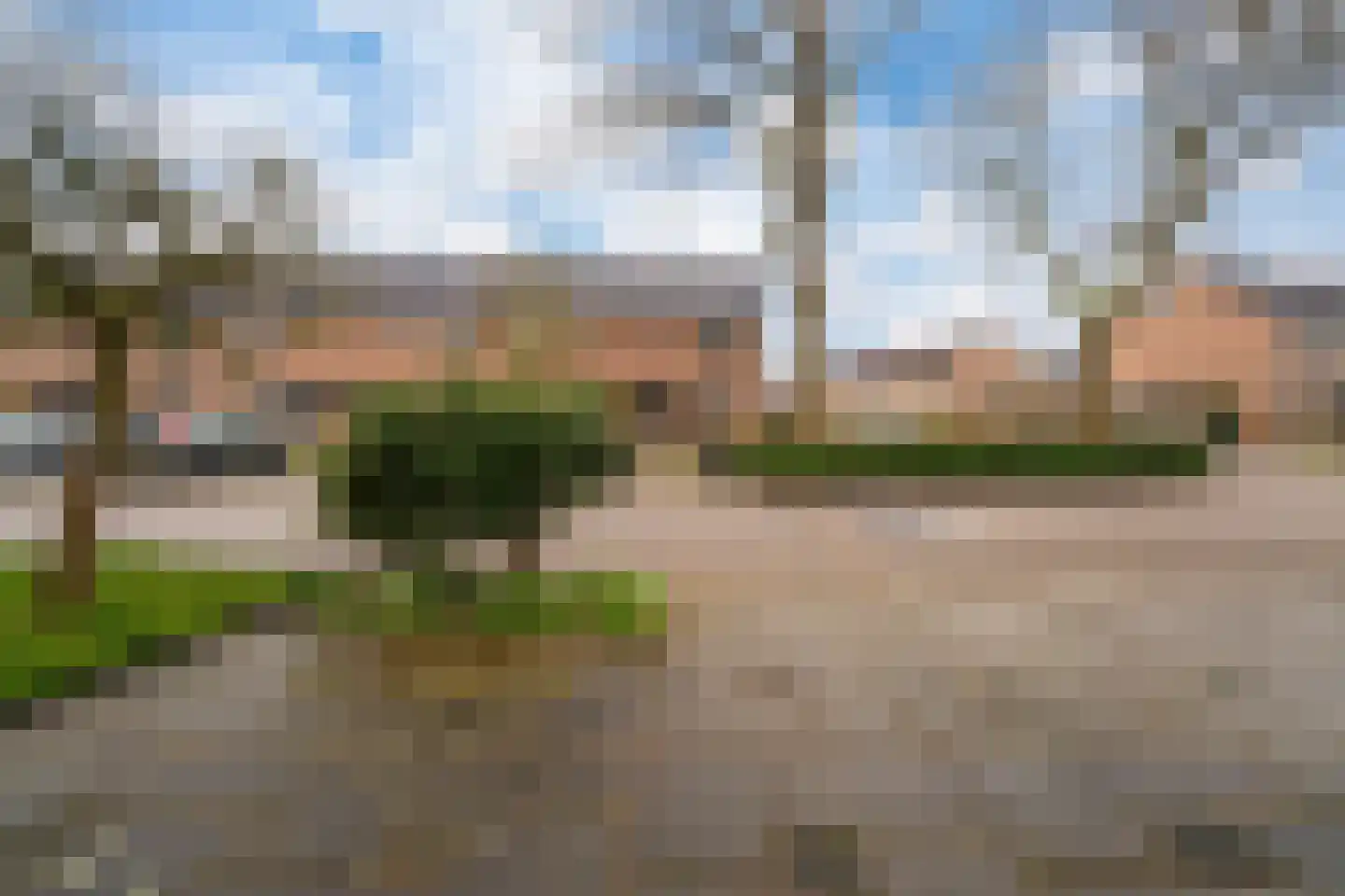Golden Delicious 40 Duiven thumbnail 46