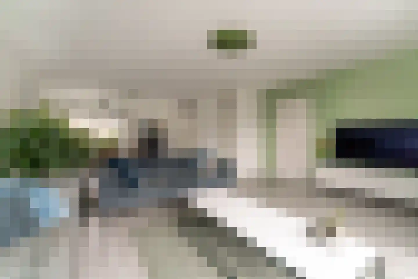 Golden Delicious 40 Duiven thumbnail 8