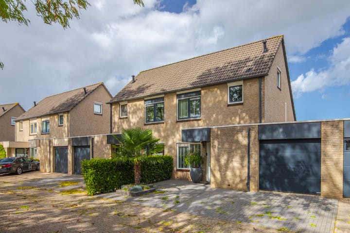 Golden Delicious 42 en Duiven foto