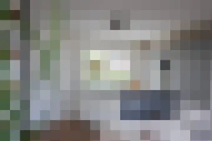 Golden Delicious 42 Duiven thumbnail 10