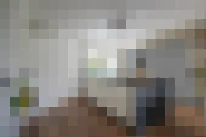 Golden Delicious 42 Duiven thumbnail 11