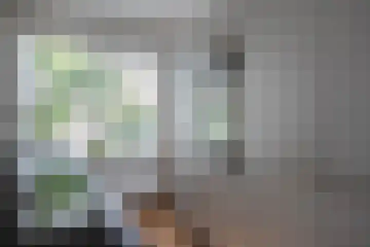 Golden Delicious 42 Duiven thumbnail 12