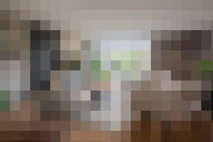 Golden Delicious 42 Duiven thumbnail 16