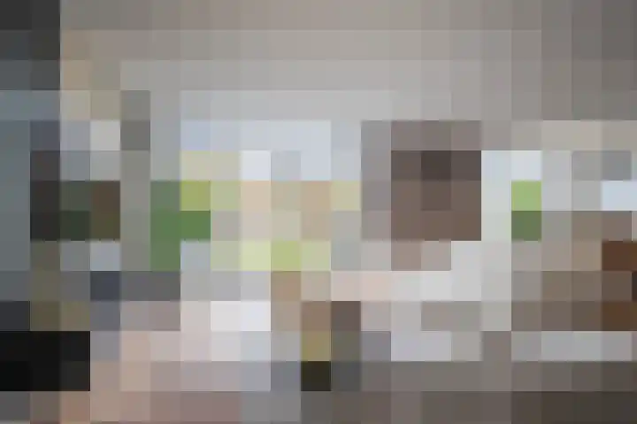 Golden Delicious 42 Duiven thumbnail 17