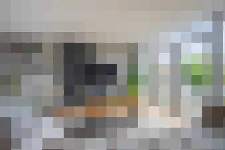 Golden Delicious 42 Duiven thumbnail 18
