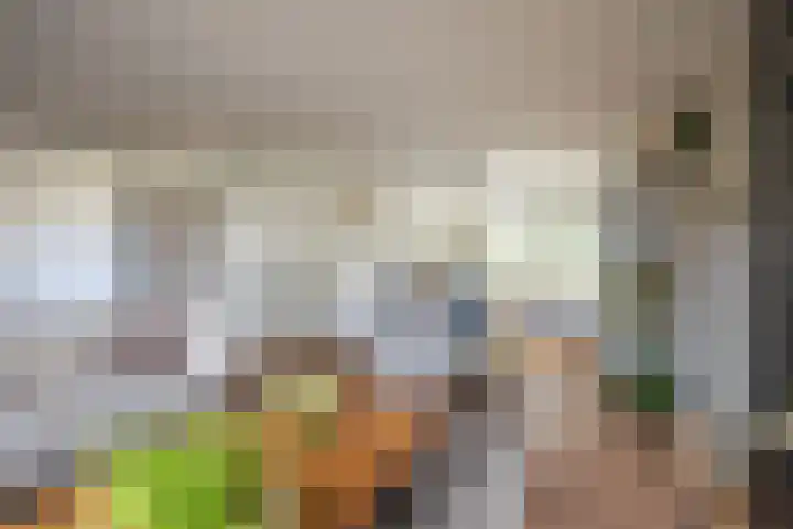 Golden Delicious 42 Duiven thumbnail 20