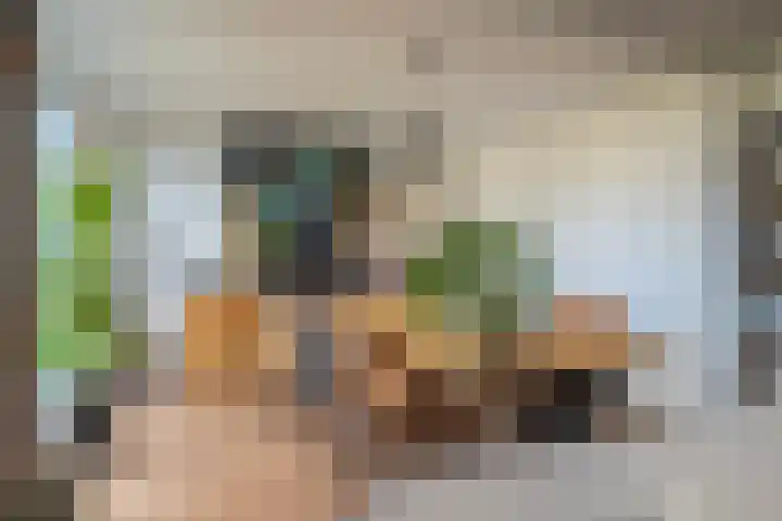 Golden Delicious 42 Duiven thumbnail 21