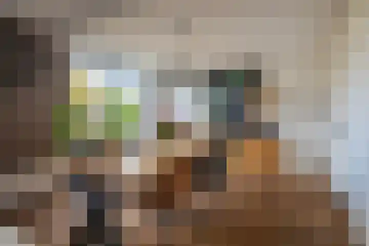 Golden Delicious 42 Duiven thumbnail 22