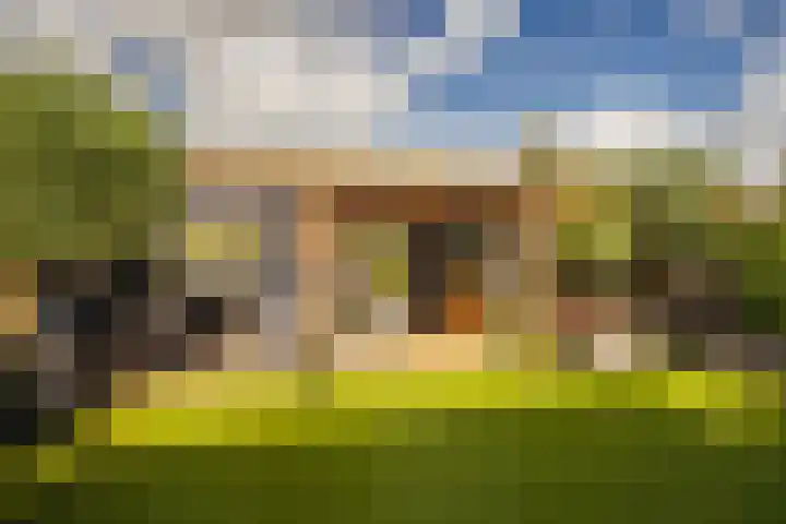 Golden Delicious 42 Duiven thumbnail 25