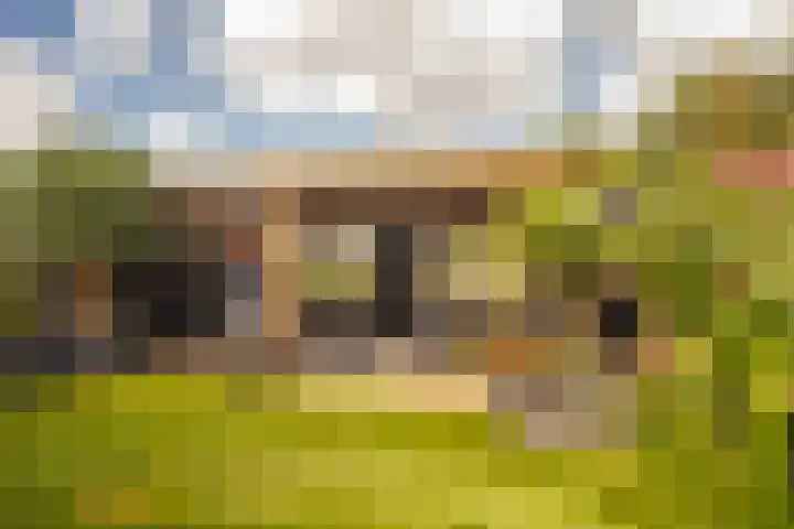 Golden Delicious 42 Duiven thumbnail 27