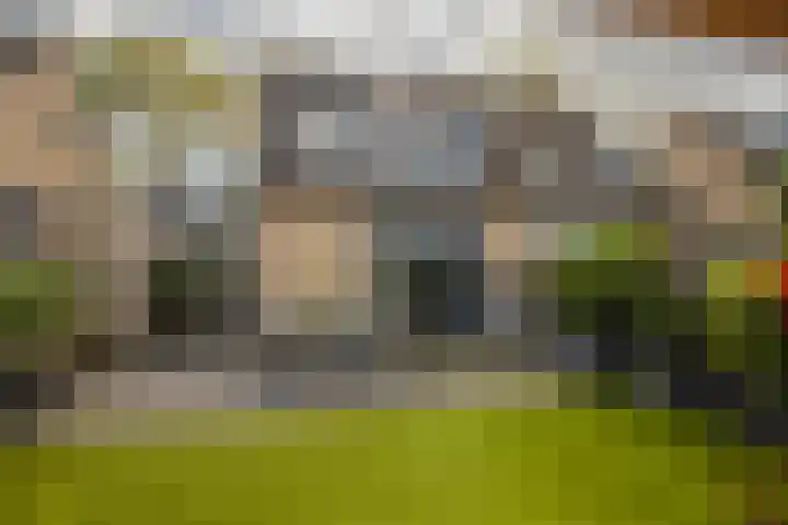 Golden Delicious 42 Duiven thumbnail 30