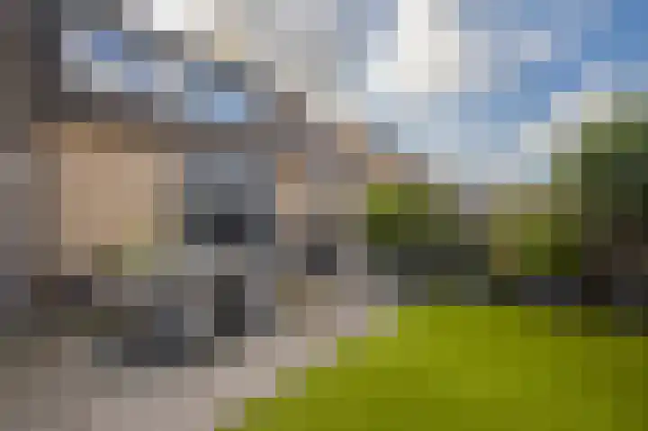 Golden Delicious 42 Duiven thumbnail 31