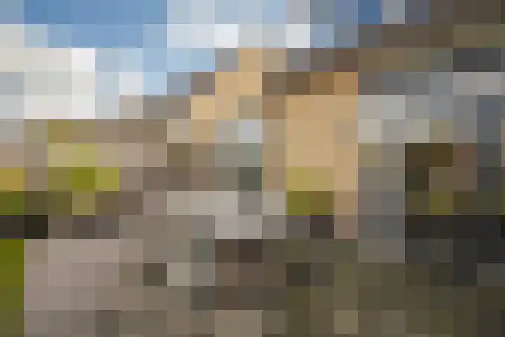 Golden Delicious 42 Duiven thumbnail 33