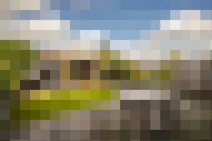 Golden Delicious 42 Duiven thumbnail 34