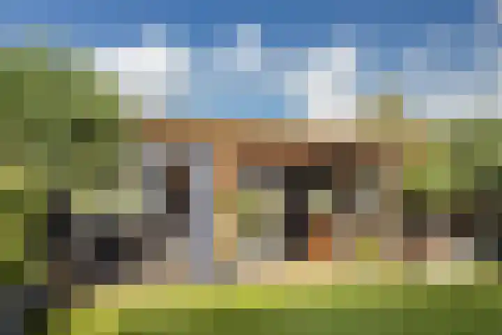 Golden Delicious 42 Duiven thumbnail 35