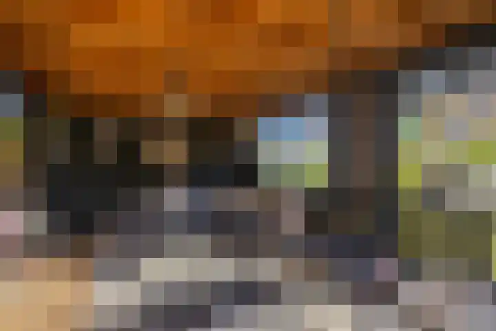 Golden Delicious 42 Duiven thumbnail 37