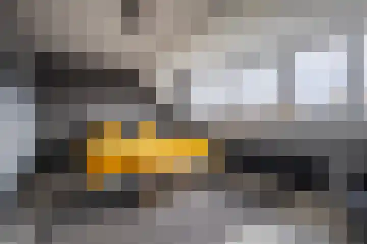 Golden Delicious 42 Duiven thumbnail 40