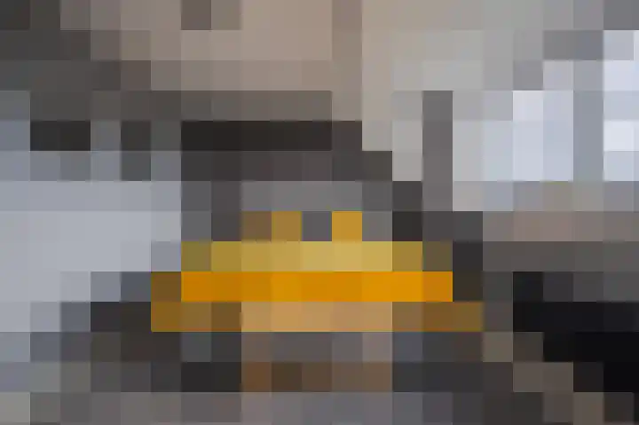 Golden Delicious 42 Duiven thumbnail 41
