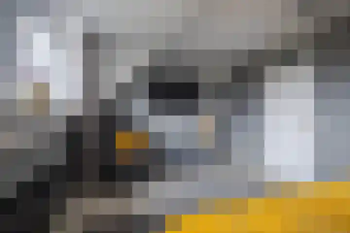 Golden Delicious 42 Duiven thumbnail 42