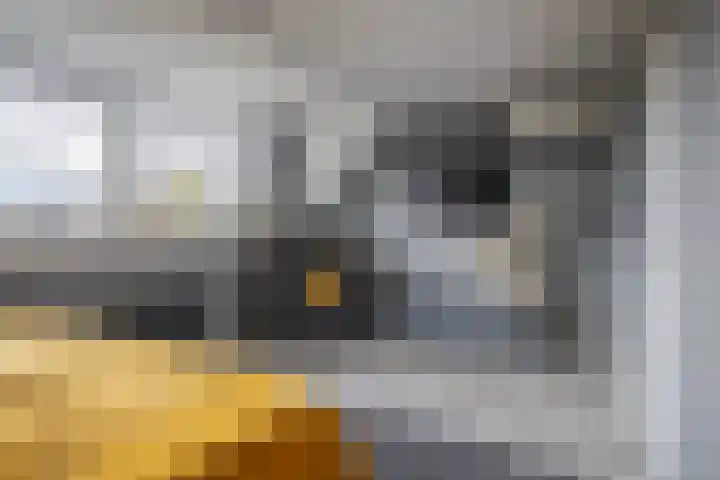 Golden Delicious 42 Duiven thumbnail 43