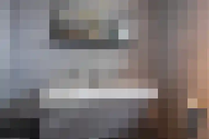 Golden Delicious 42 Duiven thumbnail 47