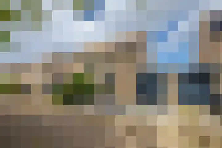 Golden Delicious 42 Duiven thumbnail 5