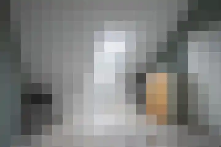 Golden Delicious 42 Duiven thumbnail 50