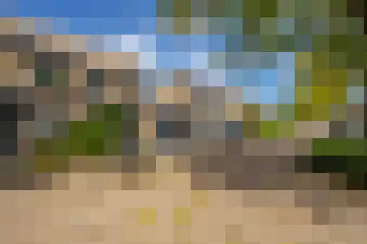 Golden Delicious 42 Duiven thumbnail 51