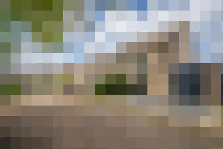 Golden Delicious 42 Duiven thumbnail 52