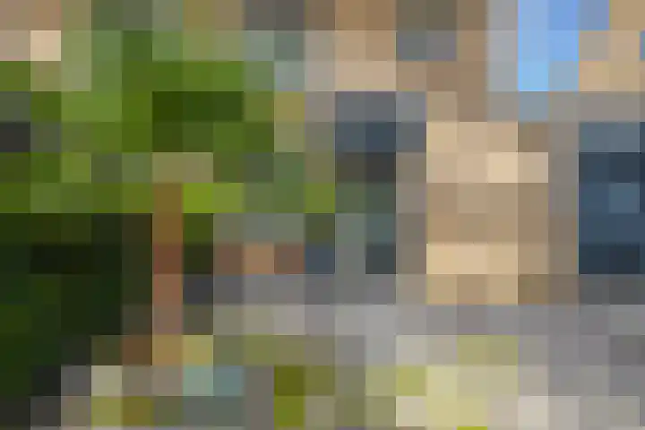 Golden Delicious 42 Duiven thumbnail 6