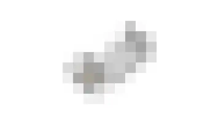 Golden Delicious 42 Duiven thumbnail 64