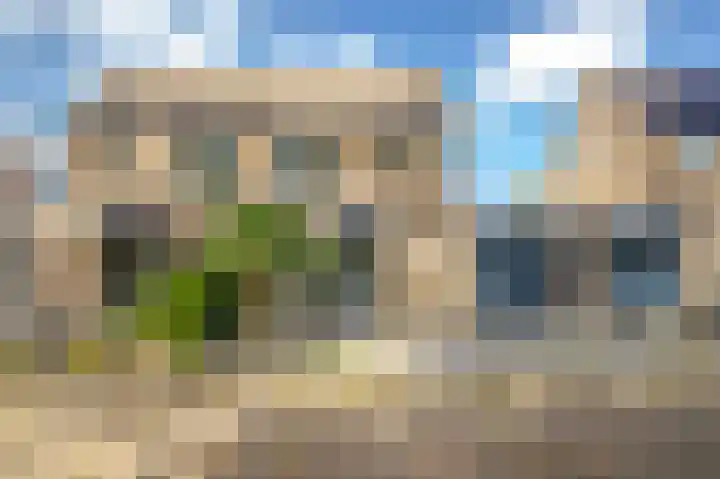 Golden Delicious 42 Duiven thumbnail 7