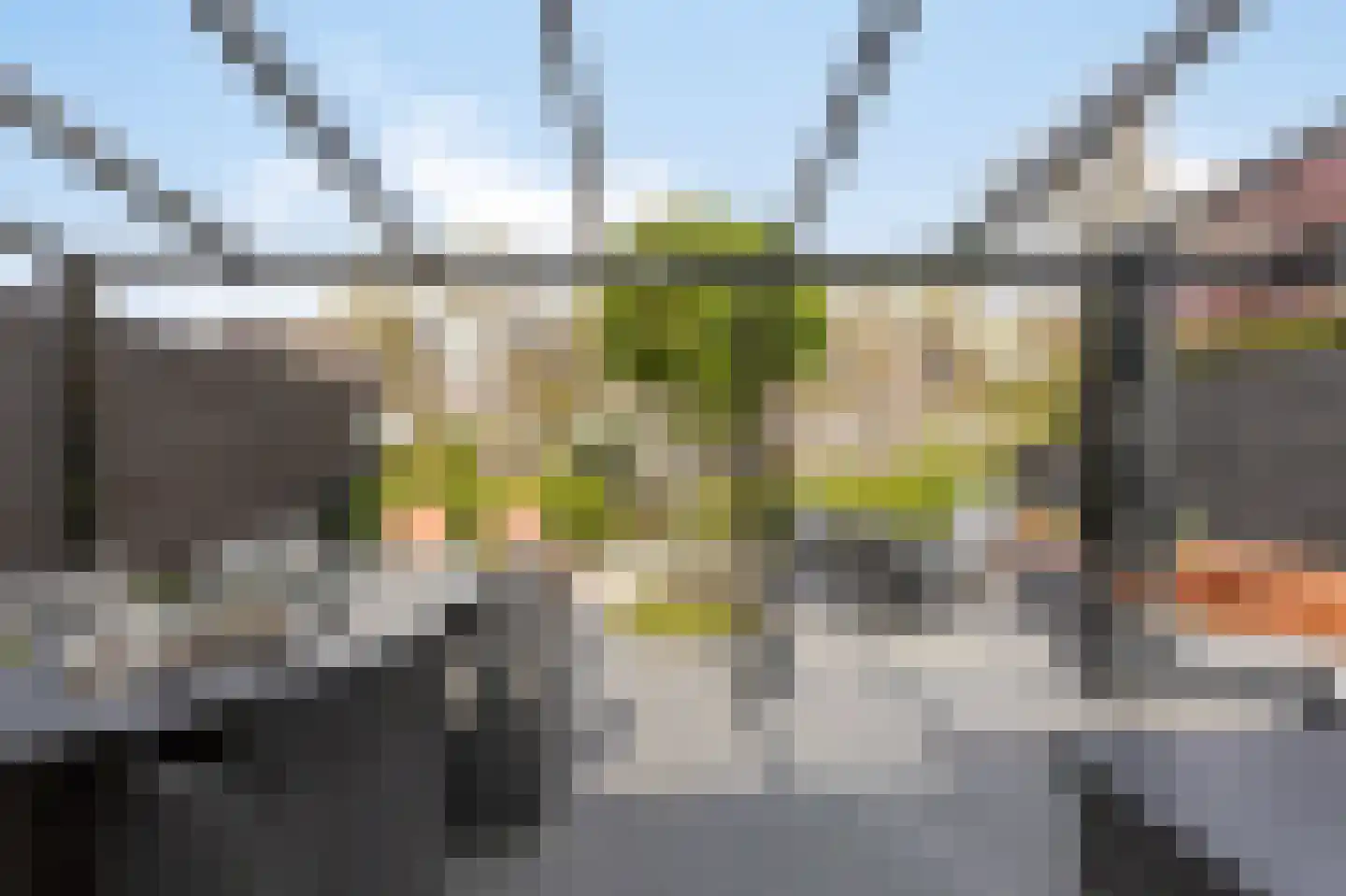 Golden Delicious 52 Duiven thumbnail 23
