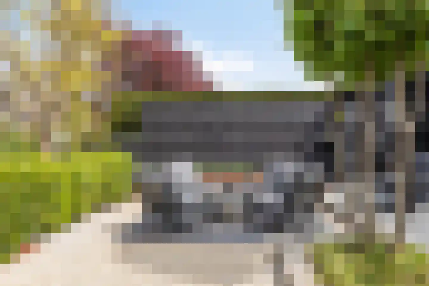 Golden Delicious 52 Duiven thumbnail 33