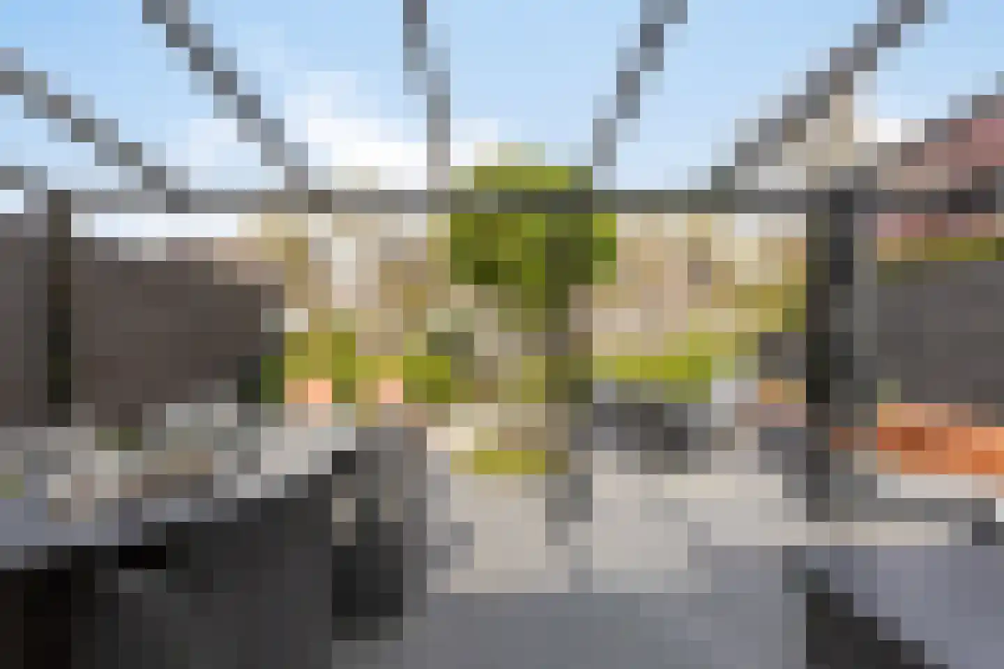 Golden Delicious 52 Duiven thumbnail 4