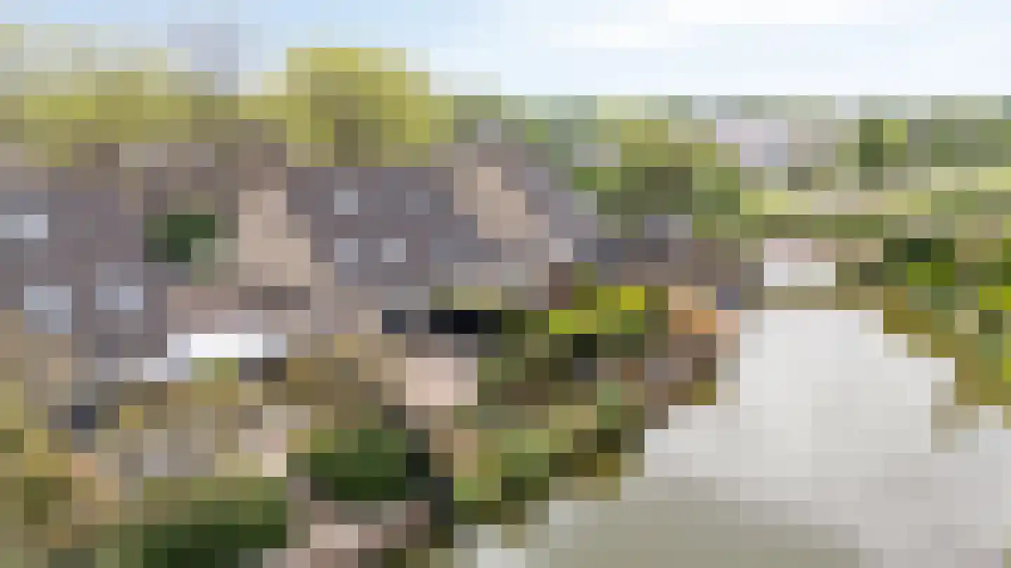 Golden Delicious 52 Duiven thumbnail 51