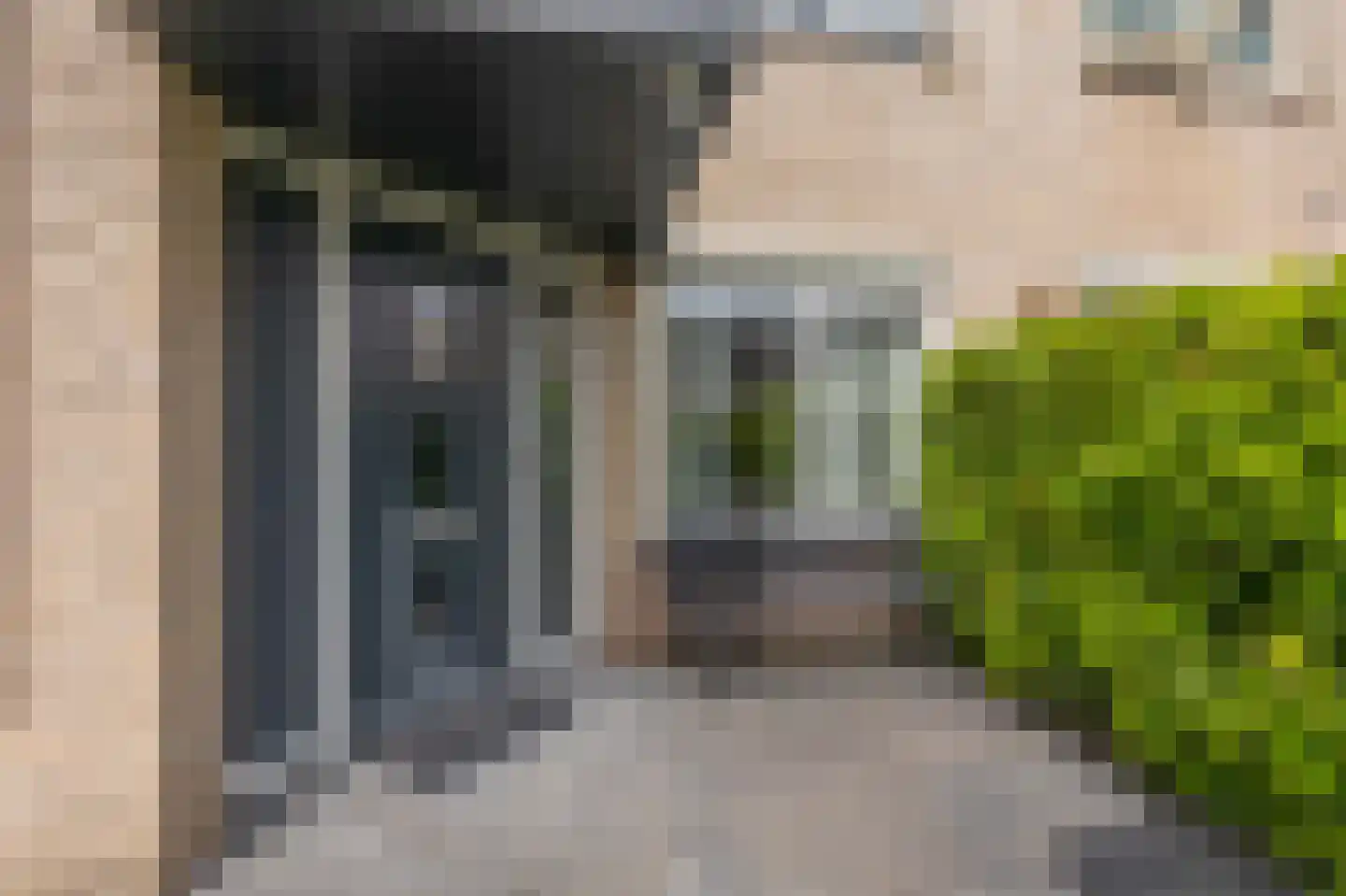 Golden Delicious 52 Duiven thumbnail 8