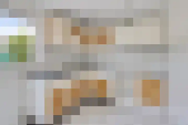 Golden Delicious 58 Duiven thumbnail 10