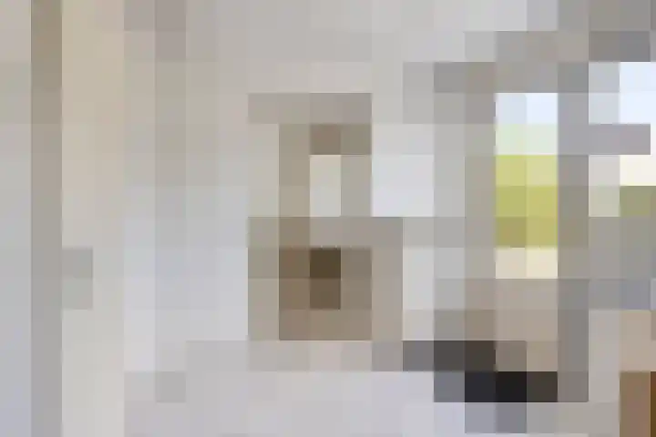 Golden Delicious 58 Duiven thumbnail 13
