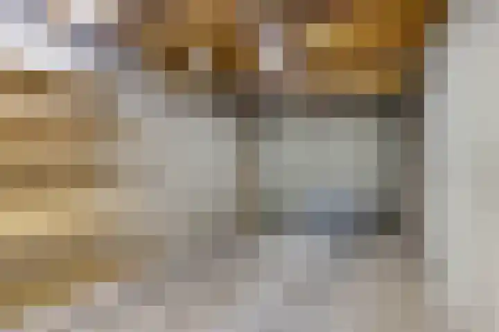 Golden Delicious 58 Duiven thumbnail 16