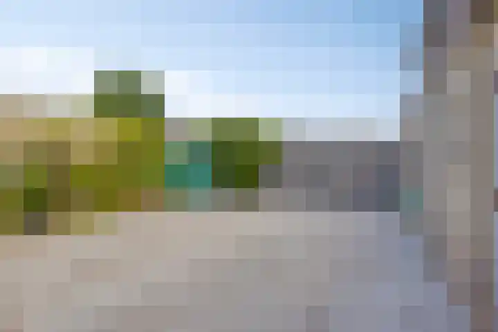 Golden Delicious 58 Duiven thumbnail 18